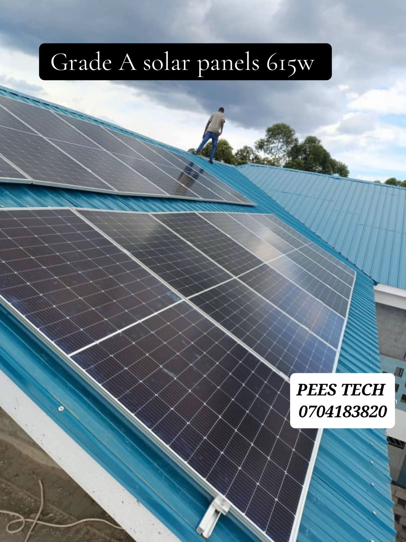 PEES TECH SYSTEMS