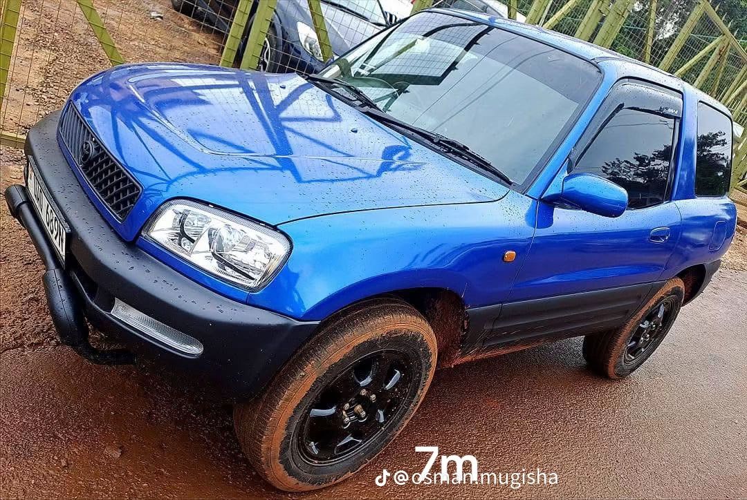 ham shopping grounds