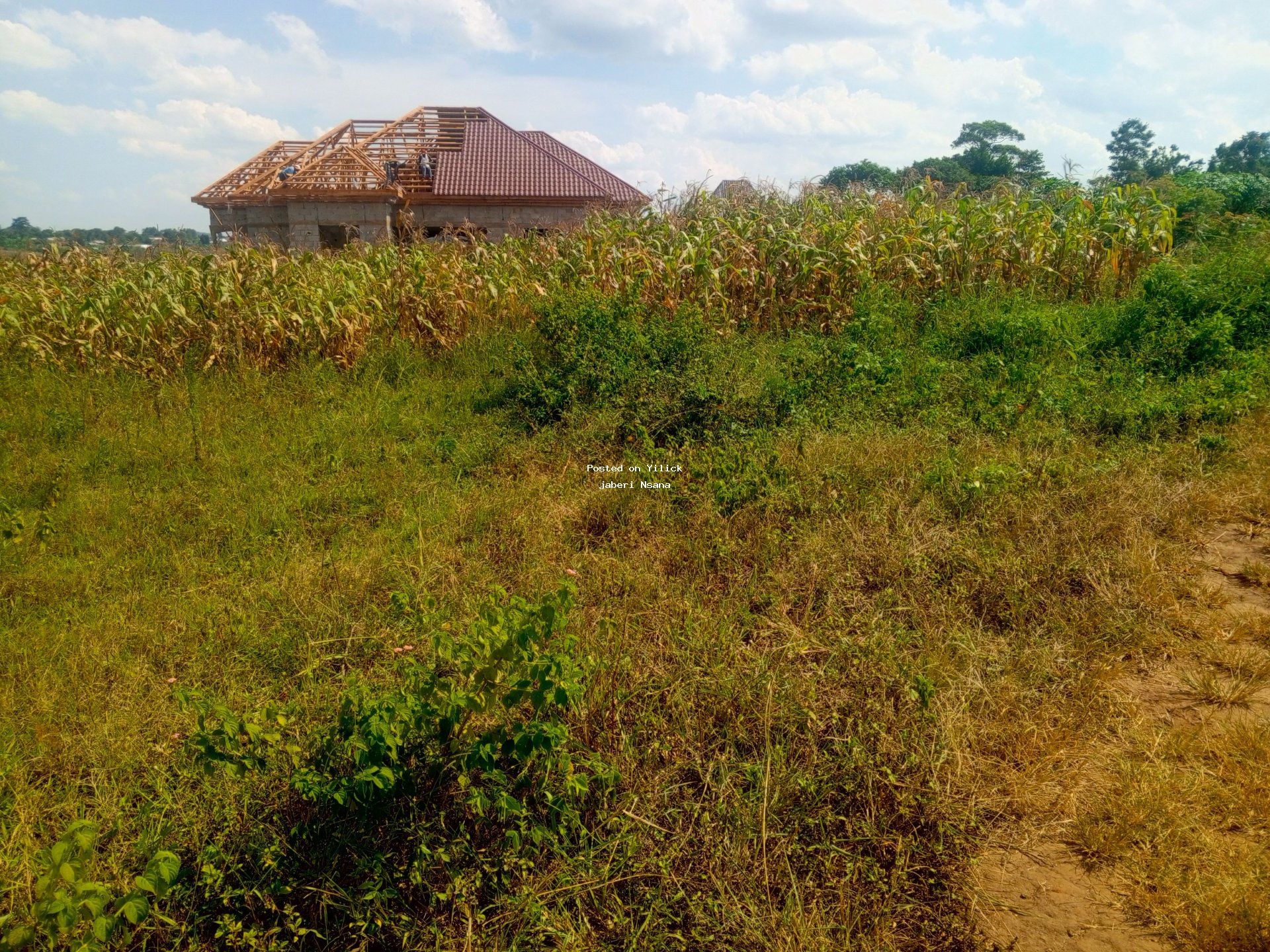 Prime Residential land in Nampunge wakiso for sale in Wakiso - Yilick