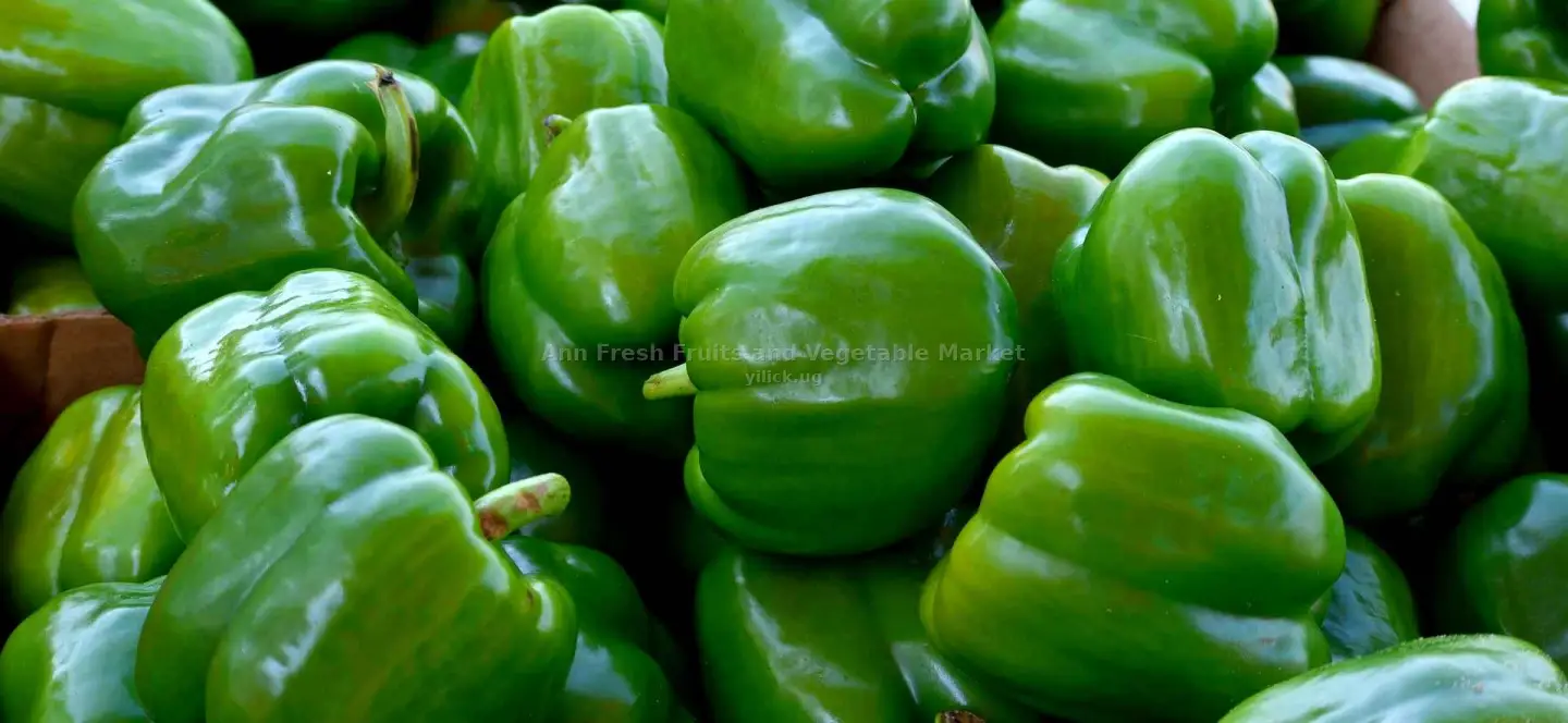 1kg Green paper for sale in Mukono - Yilick