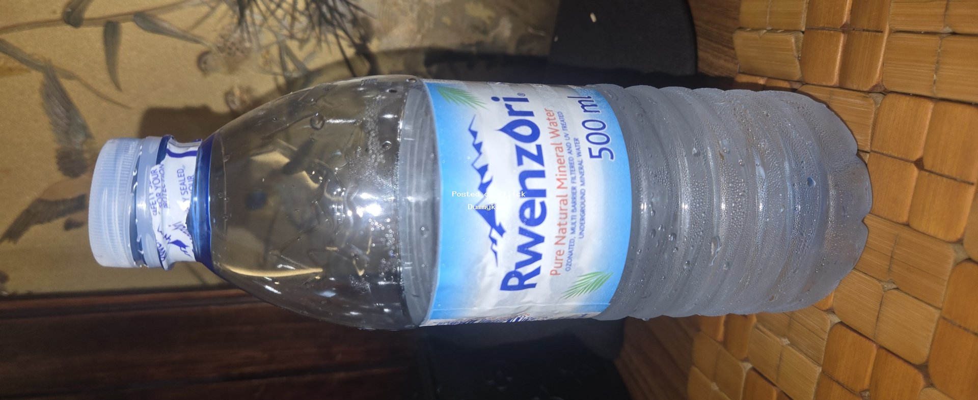 Rwenzori Natural Spring Water - 500ml Bottle for sale in Kampala - Yilick
