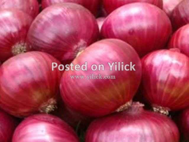Onions for sale for sale in Kampala - Yilick