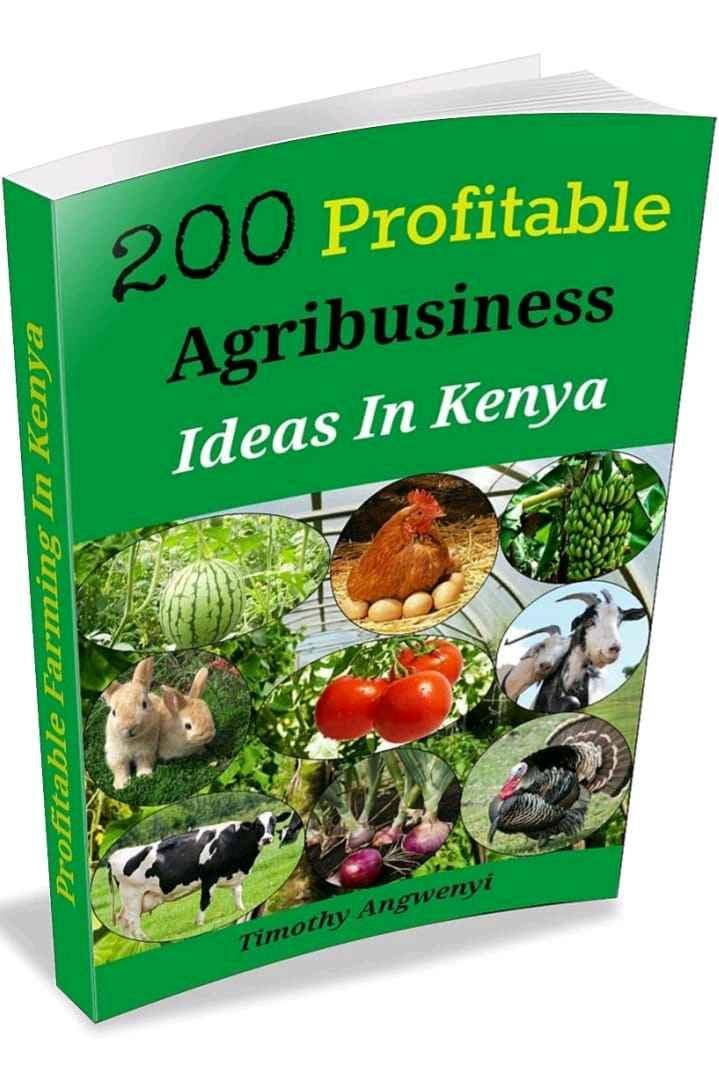 Wealth and Knowledge for sale in Kampala - Yilick