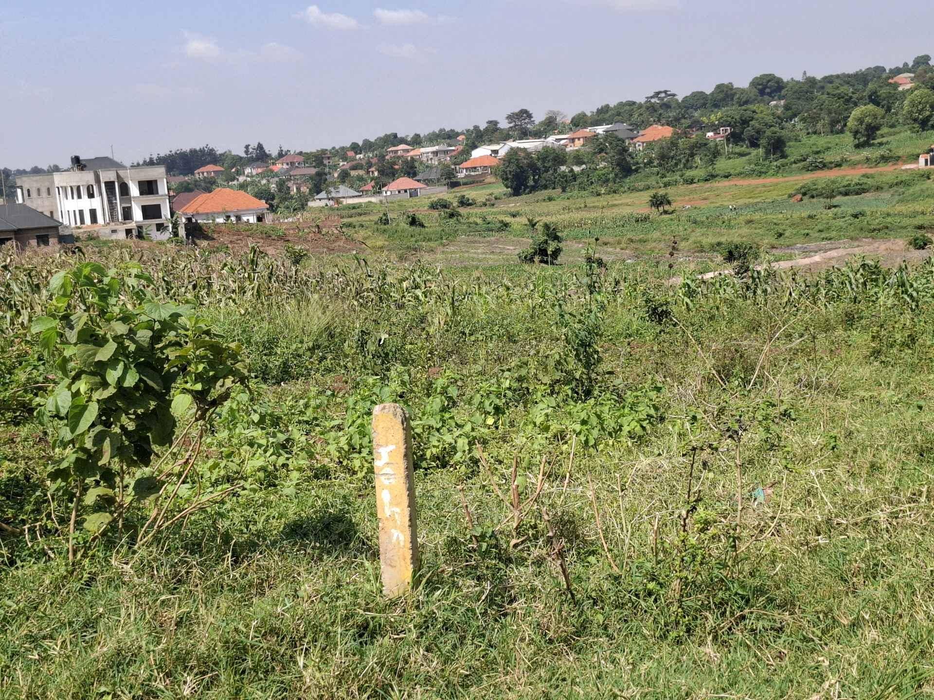25 DECIMALS  FOR SALE IN NAKWERO for sale in Wakiso - Yilick