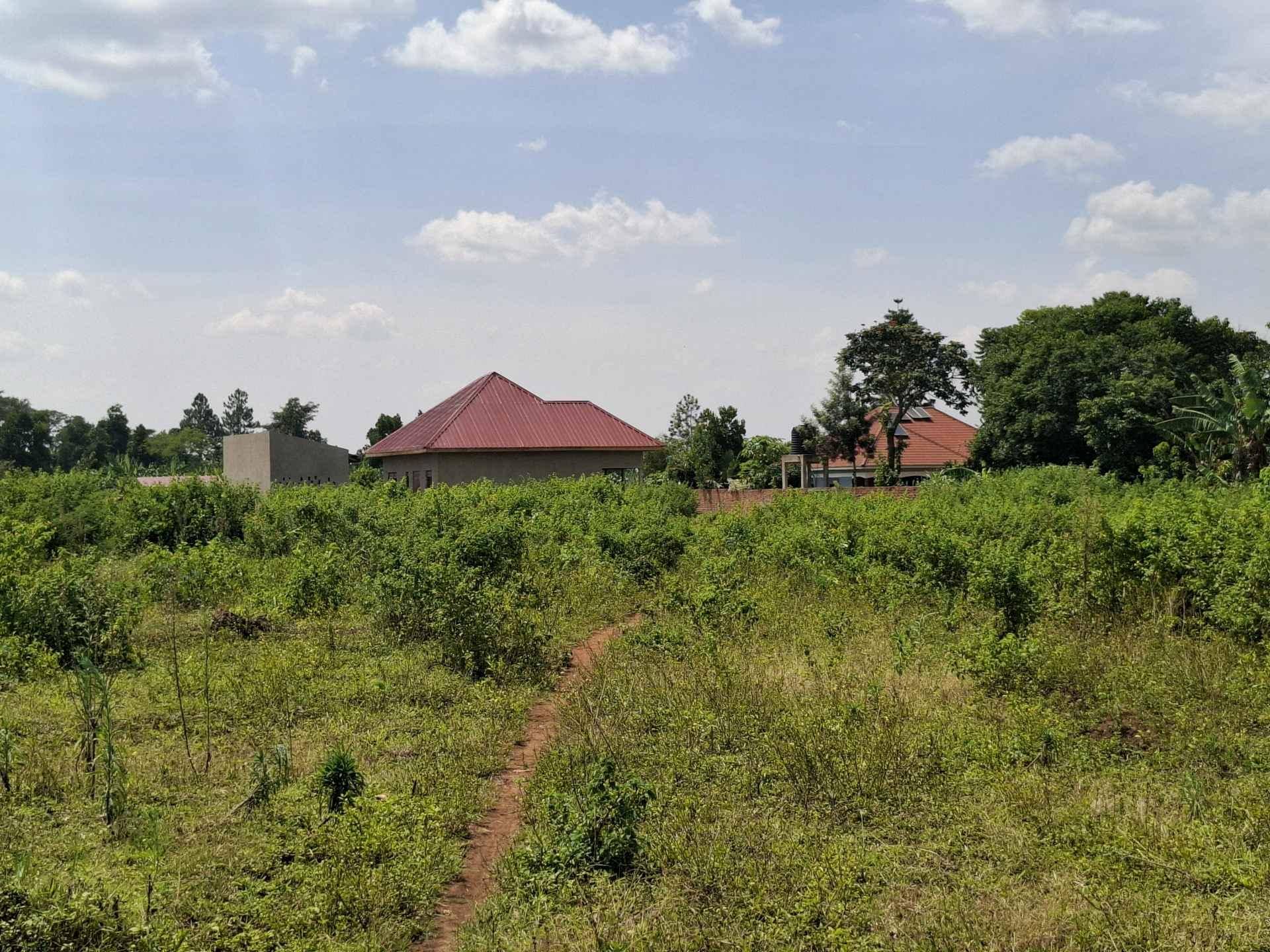 AFFORDABLE  PLOTs FOR SALE IN BUSIIKA  GYANDA for sale in Luwero - Yilick