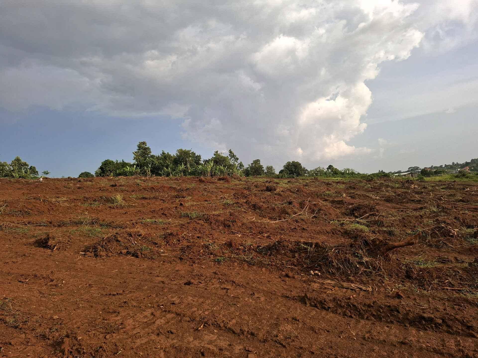 PRIME 3 ACRES  FOR SALE IN NAMULONGE for sale in Wakiso - Yilick
