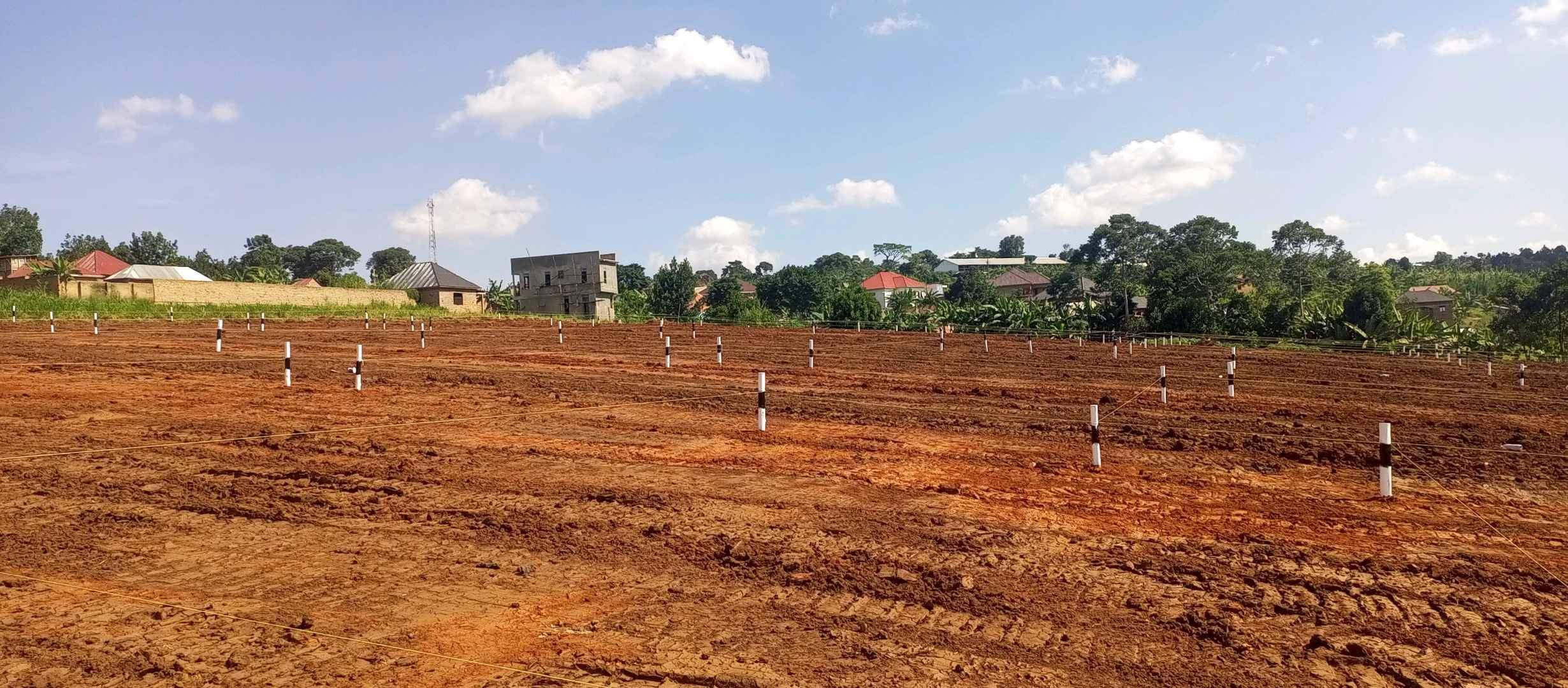 CHEAP PLOTS AVAILABLE FOR SALE AT ONLY 9M for sale in Wakiso - Yilick