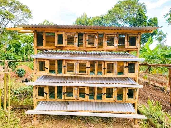 We sale rabbit cage's at UGX500000 for sale in Wakiso - Yilick