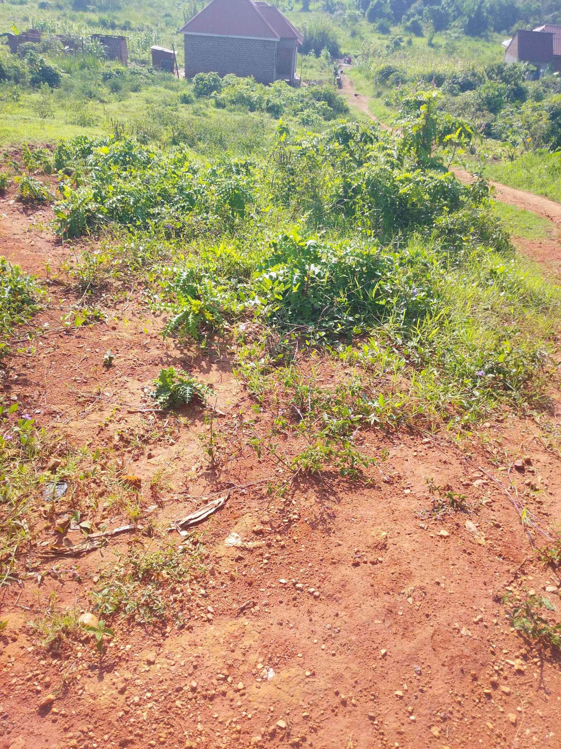 50by100 on sale for sale in Kampala - Yilick