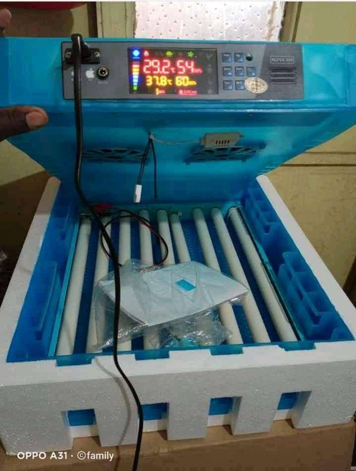 automatic egg incubators for sale in Kampala - Yilick