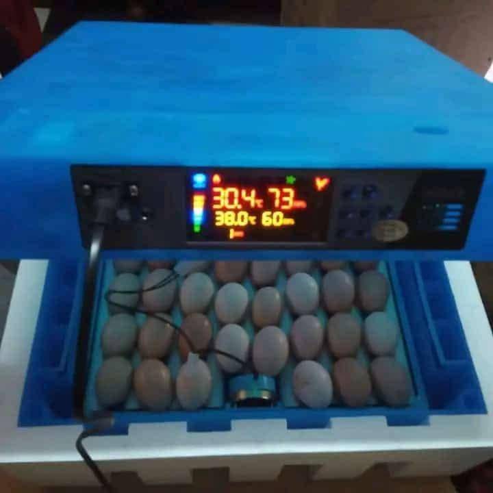 256 eggs incubator  for sale in Kampala - Yilick