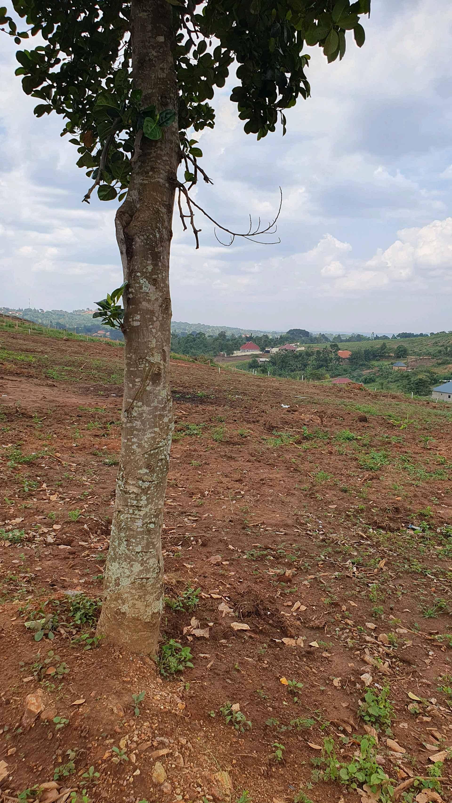 GAYAZA - KIWENDA HILLTOP VIEW ESTATE*, for sale in Kampala - Yilick
