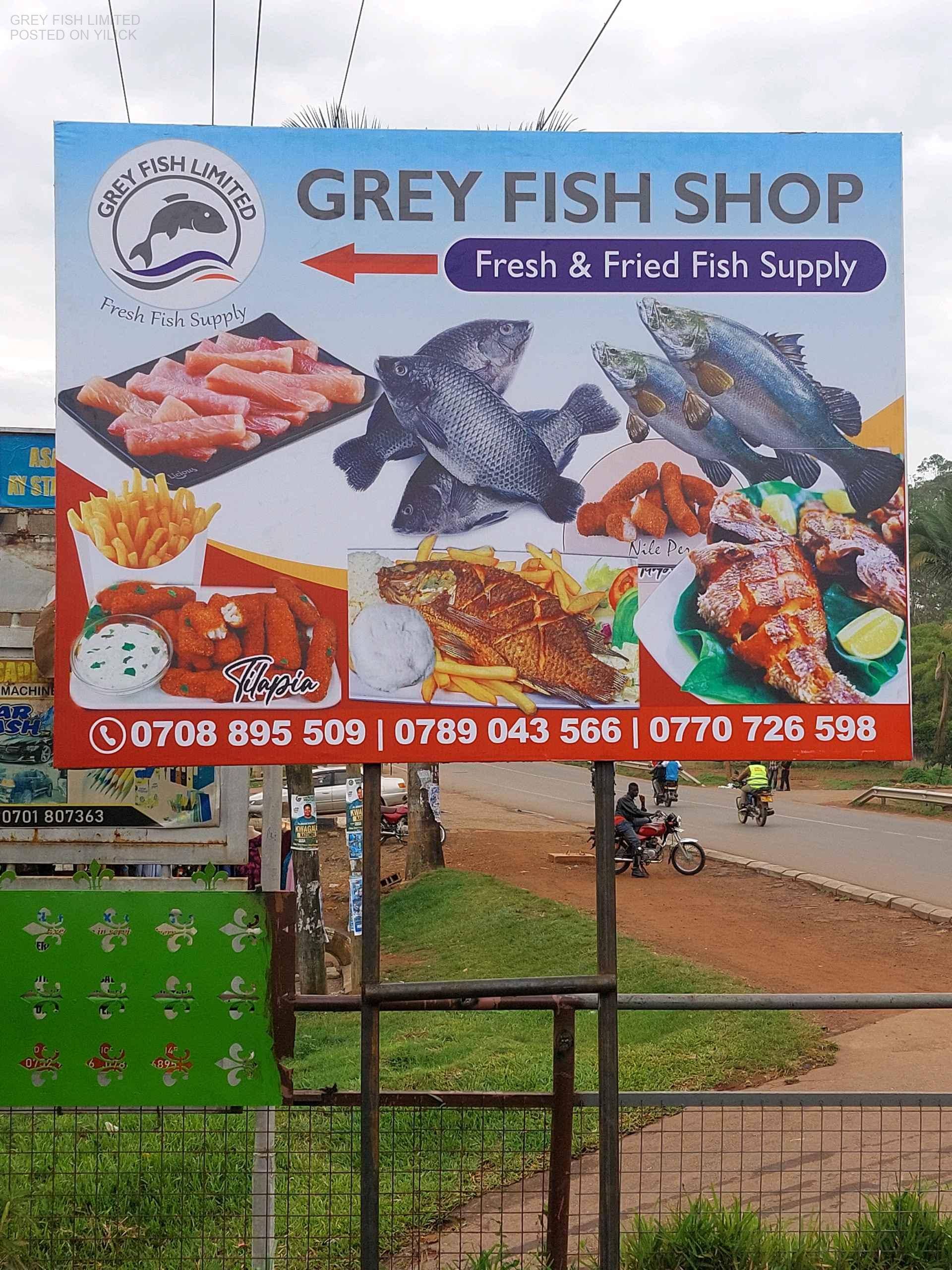 Grey fish limited for sale in Kampala - Yilick