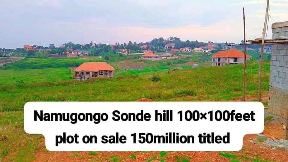 Namugongo Sonde 100Ã—100feet plot hill top 150million.  for sale in Kampala - Yilick