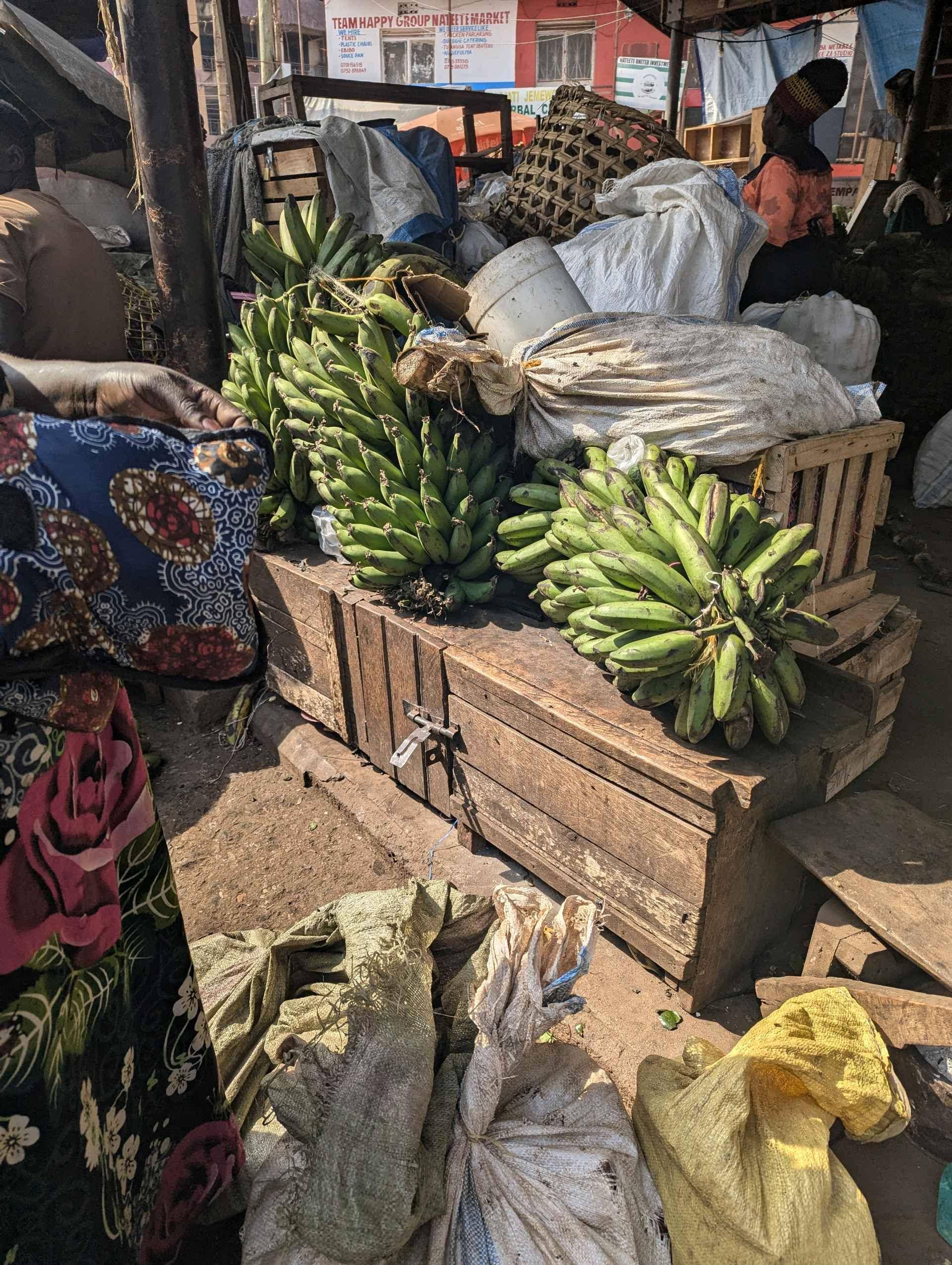 MATOOKE AVAILABLE for sale in Kampala - Yilick