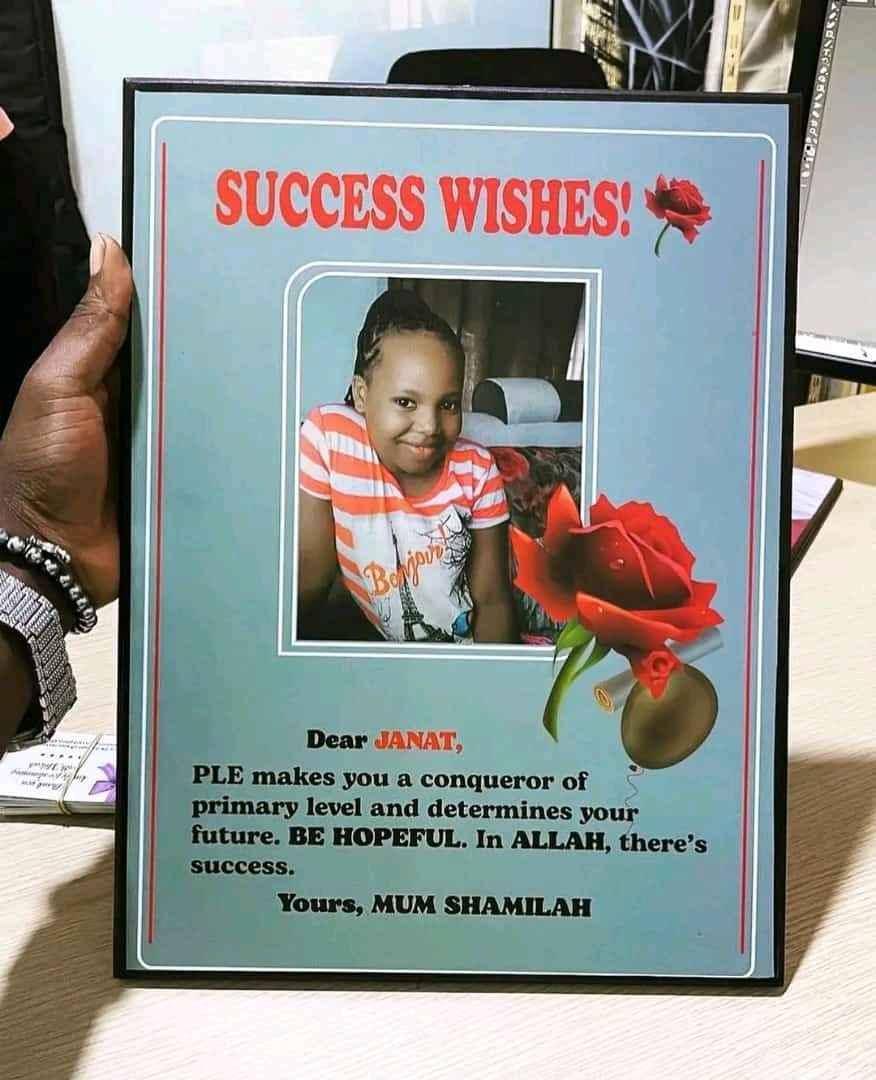 A3 success boards for sale in Kampala - Yilick