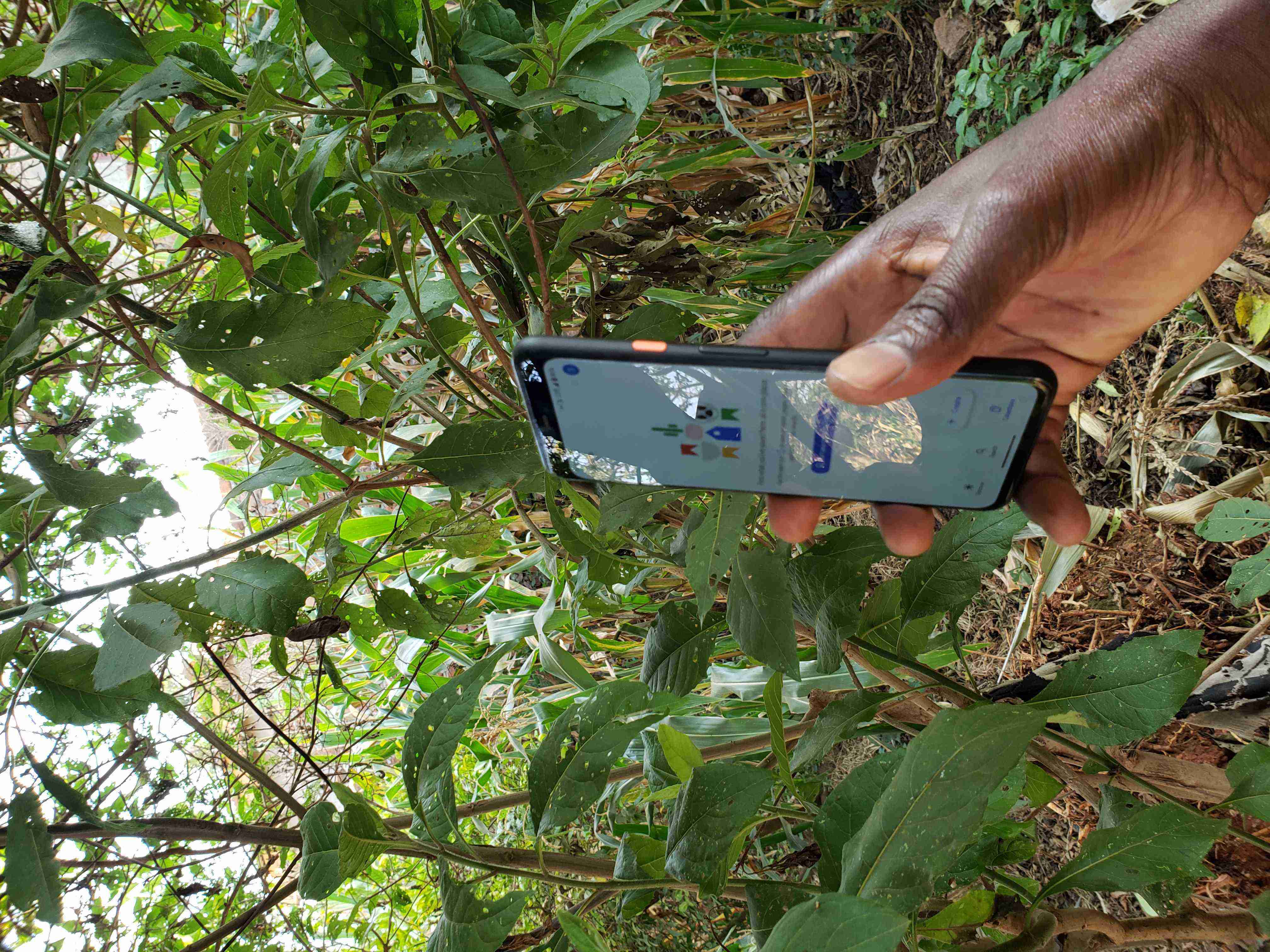 Google pixel 4a for sale in Kampala - Yilick