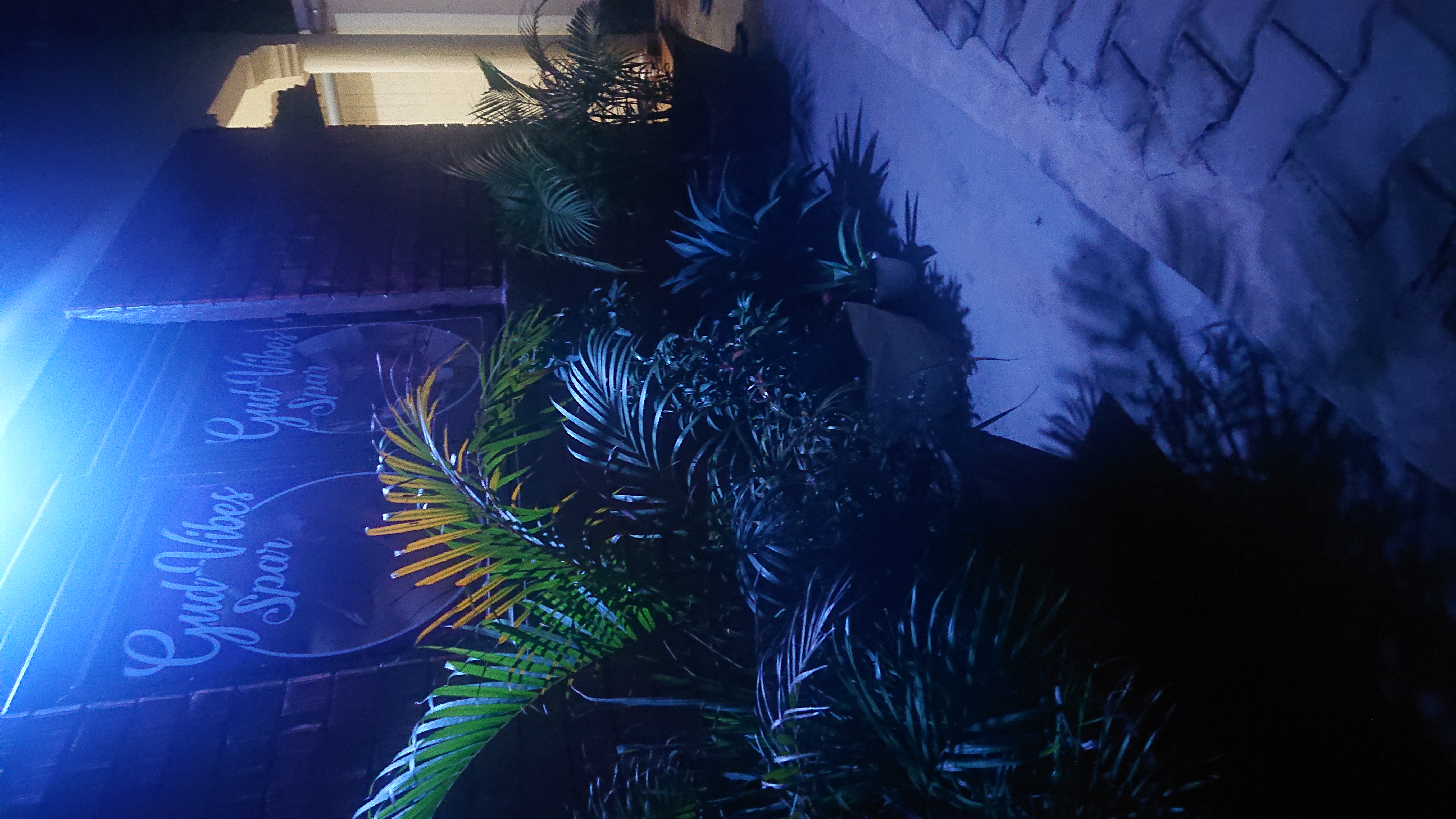 test  for sale in Kampala - Yilick